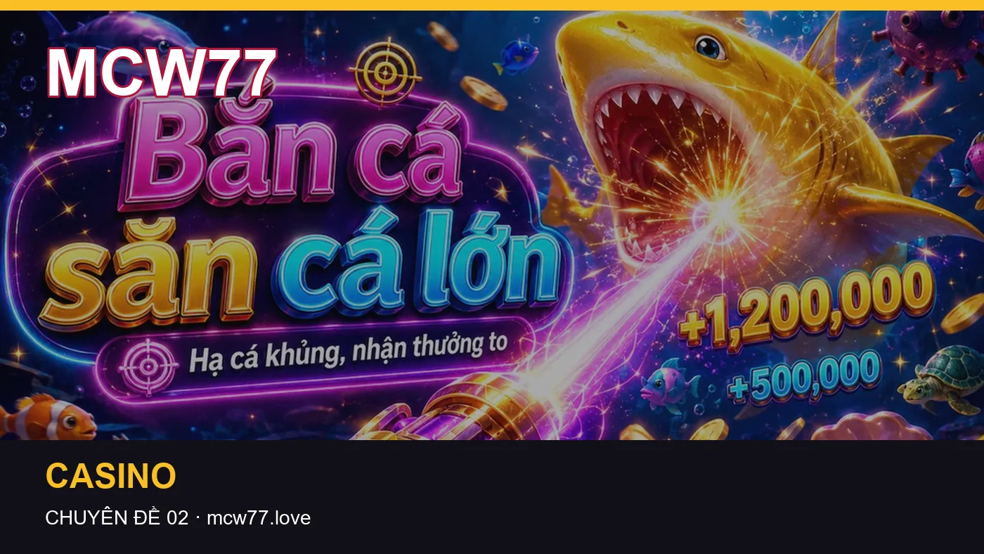 Đối chiếu nguồn và thời điểm cập nhật trong Hướng dẫn của MCW77